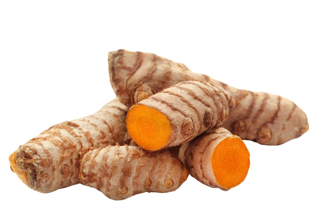 Curcuma longa (Turmeric)